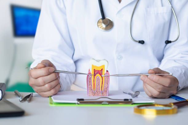 Best Pediatric Emergency Dentist in Monument Hills, CA